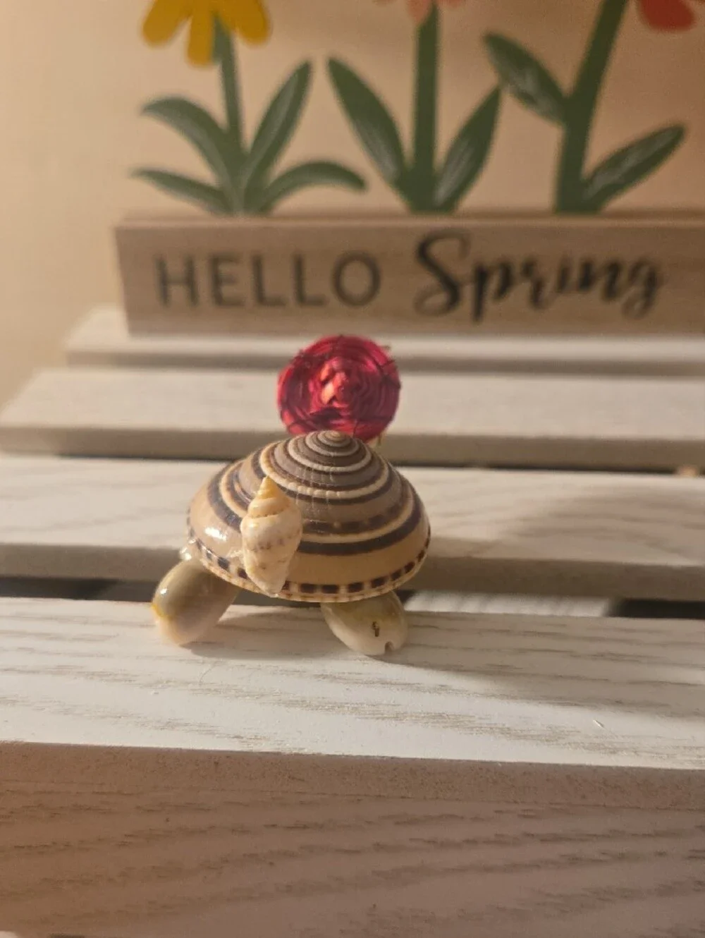 Decorative Small Pet Shell Turtle Figurine w- Glasses!